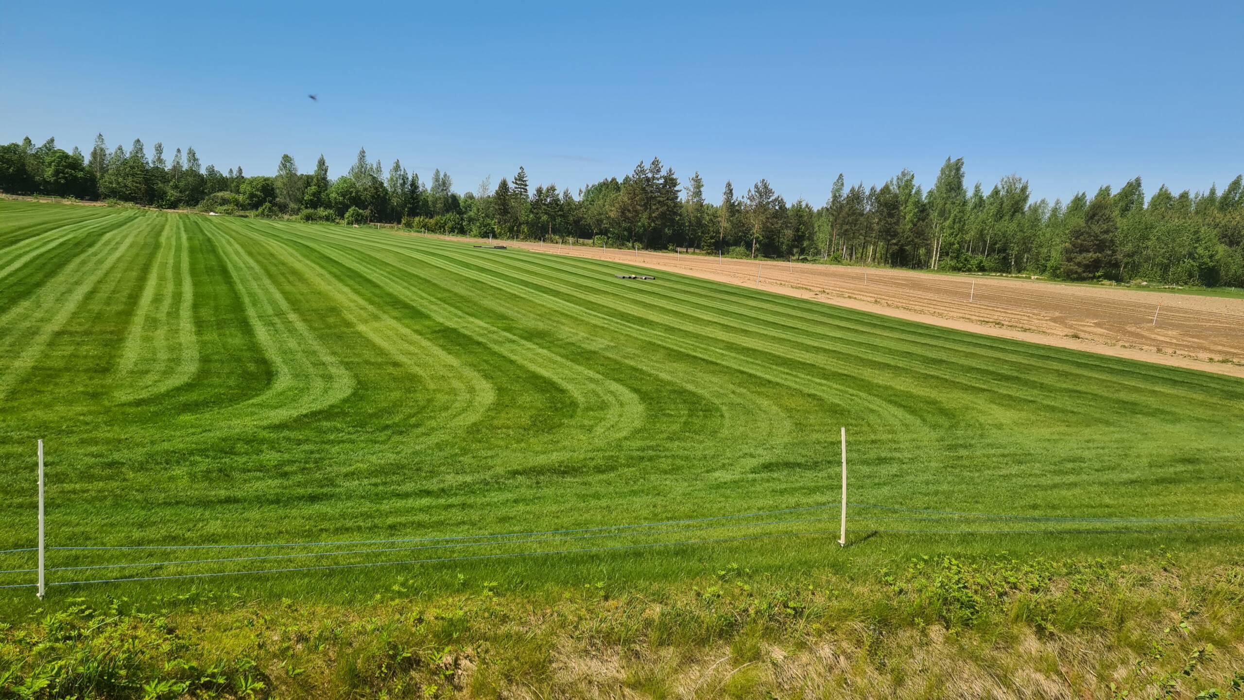 Pärnu Munmäe park_Lõikus_1.1