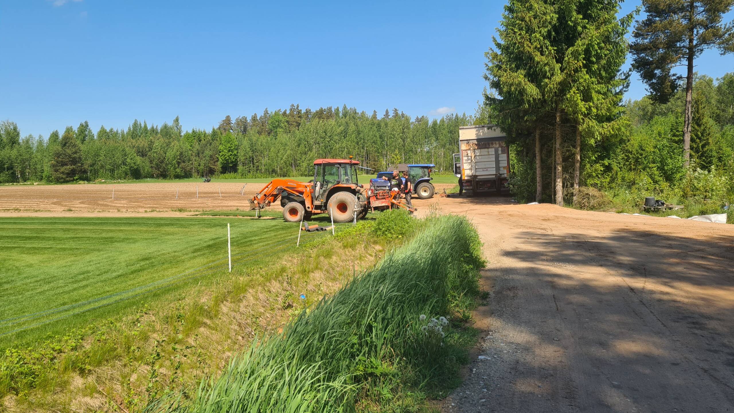 Pärnu Munmäe park_Lõikus_1.2