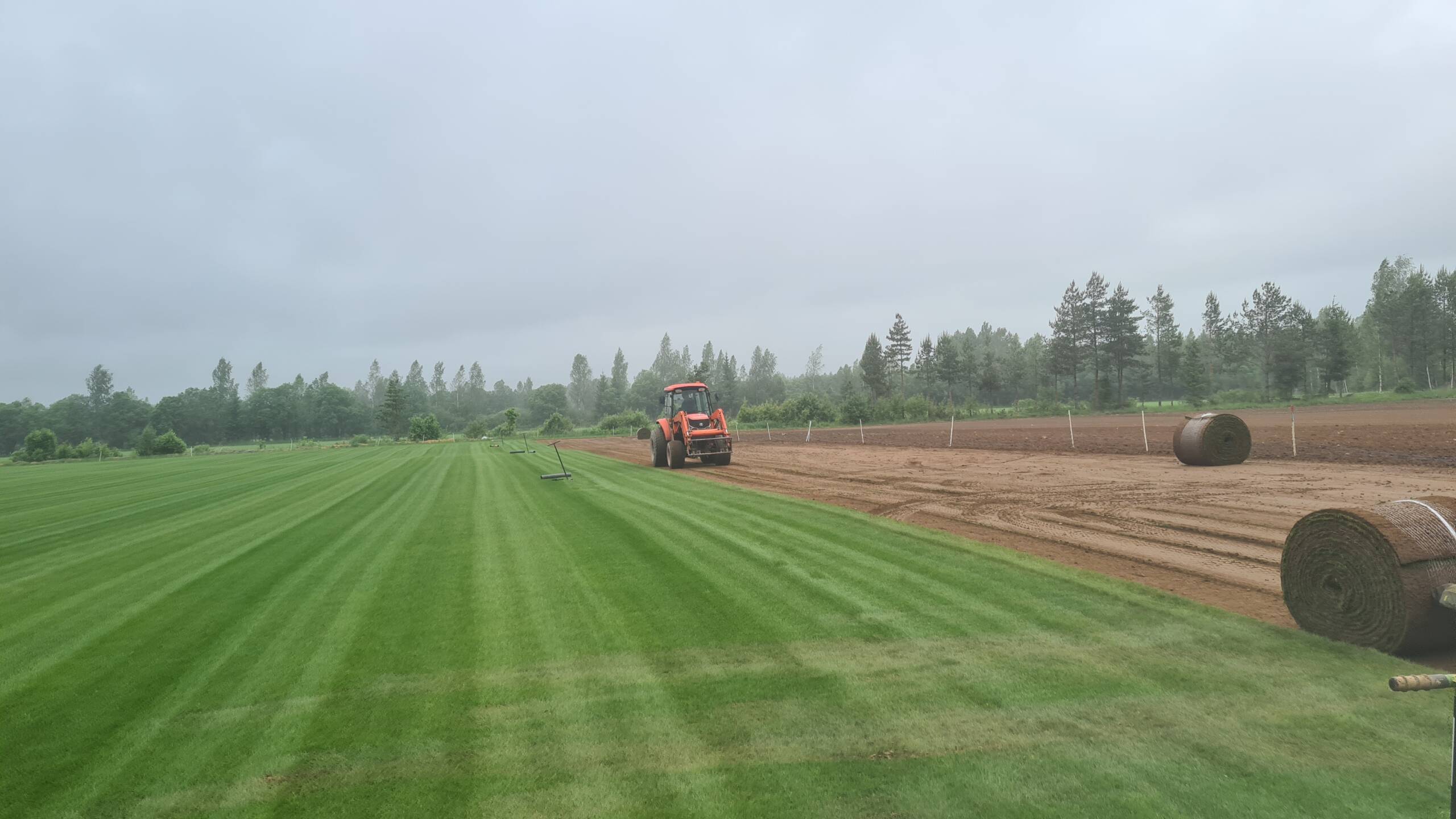 Pärnu Munmäe park_Lõikus_2.5