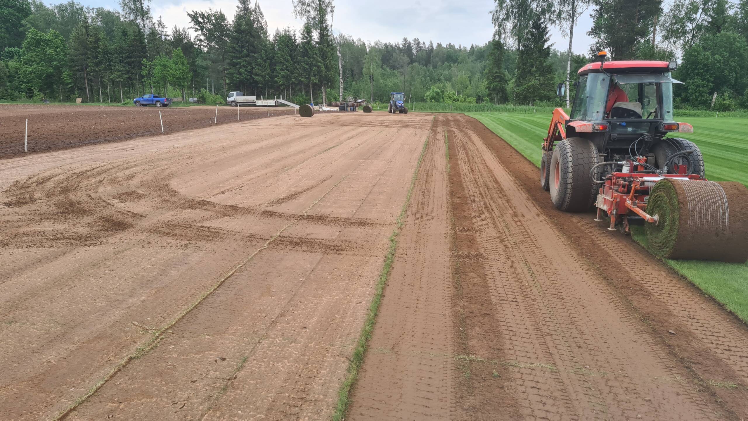 Pärnu Munmäe park_Lõikus_3.3
