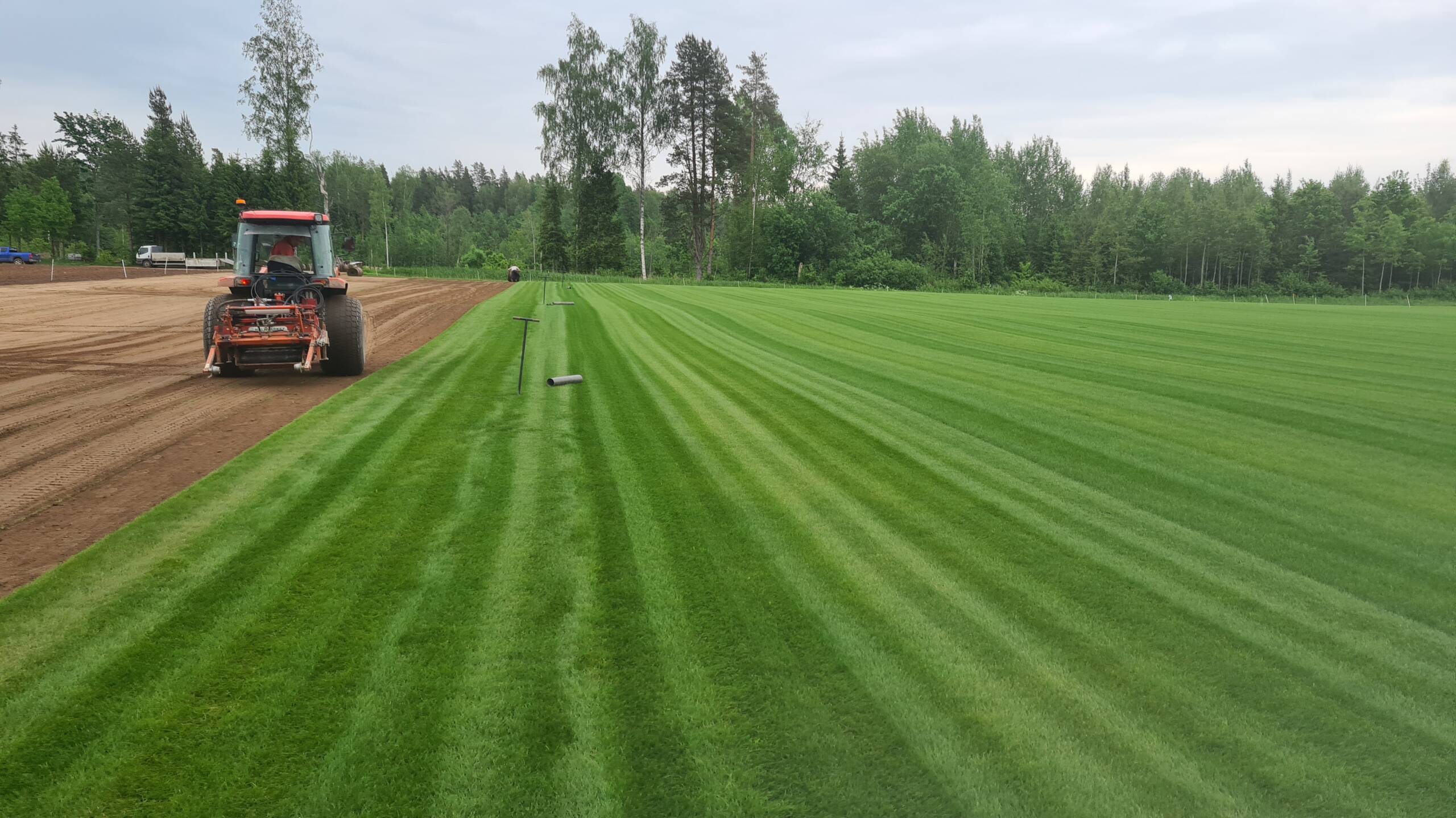 Pärnu Munmäe park_Lõikus_3.4
