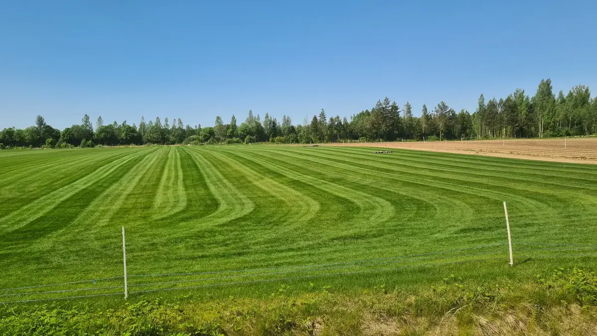 Siirdmuru Pärnu Munamäe pargis, foto 22